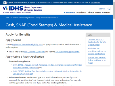 Thumbnail for IDHS: Apply for Cash, SNAP (Food Stamps) & Medical Assistance resource