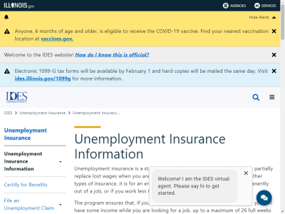 Thumbnail for IDES: Unemployment Insurance resource