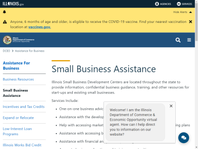 Thumbnail for DCEO: Small Business Assistance resource