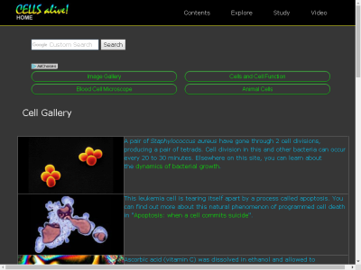 Thumbnail for Cell Gallery resource