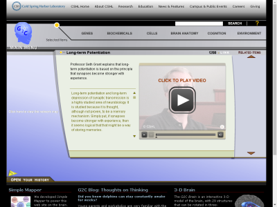 Thumbnail for Long-term Potentiation resource