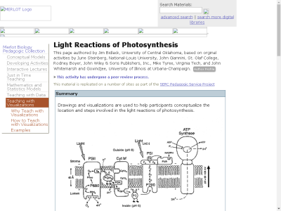 Thumbnail for Light Reactions of Photosynthesis resource