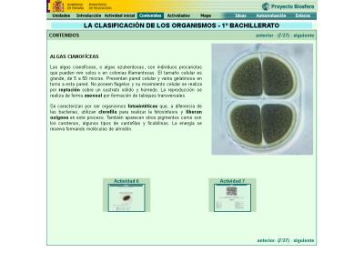 Thumbnail for Algas cianofíceas resource