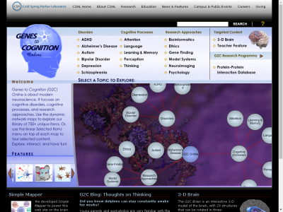 Thumbnail for Brain Regions & Smaller and Larger Quantities resource